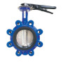 BUTTERFLY VALVE LUG DN65 PN16 DARF