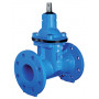 RACI GATE VALVE OVAL BODY DN50 PN10/16/25 RUBBERIZED WEDGE