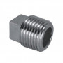 2'' SQUARE HEAD CAP AISI 316 STAINLESS STEEL