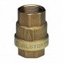 CHECK VALVE FF PASS TOT SABB. 1/4''