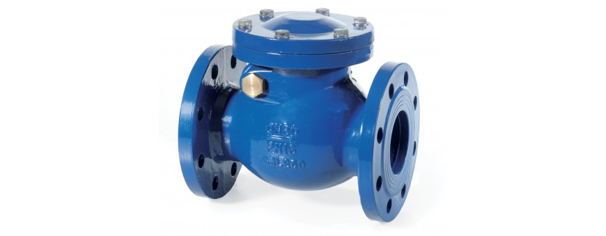 CAST IRON CLAPET CHECK VALVES - PRICES AND AVAILABILITY