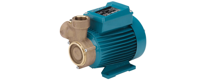 PUMPS WITH BRONZE PERIPHERAL IMPELLER
